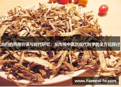 当归的药用价值与现代研究：从传统中医到现代科学的全方位探讨
